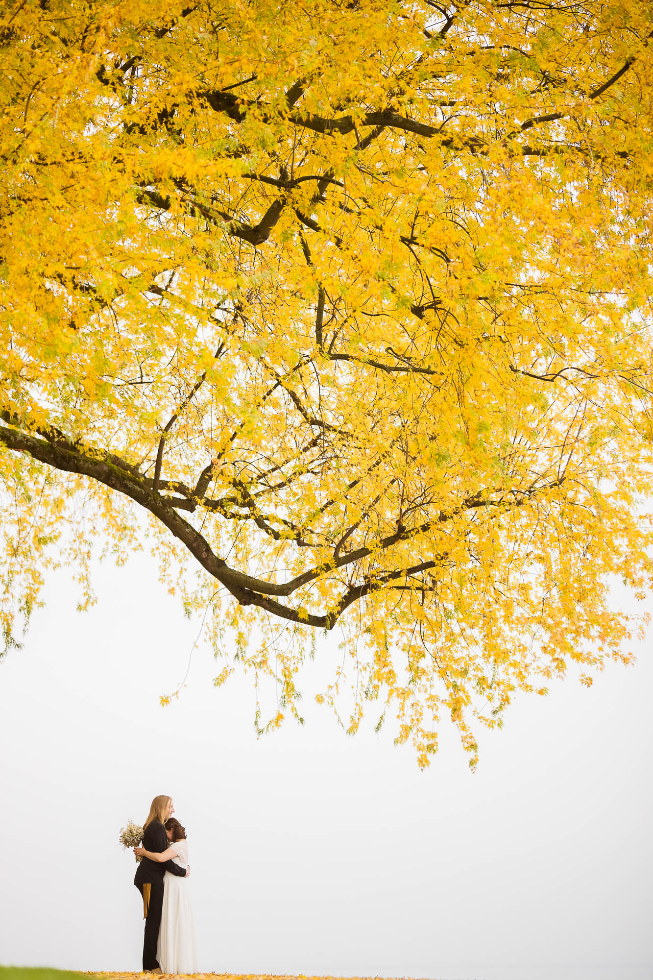 Export x3 1DX29378 Hochzeit 2020 Monika & Sharru 2